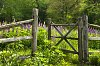 Open Garden Gate Green Hope
